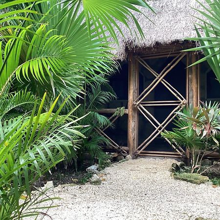 Yaxchen Tulum Cabanas & Cenote Exteriér fotografie