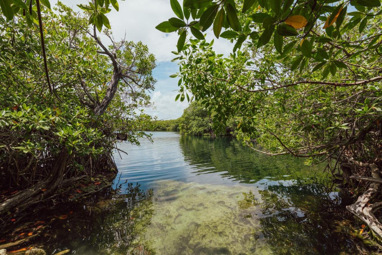 Yaxchen Tulum Cabanas & Cenote Exteriér fotografie
