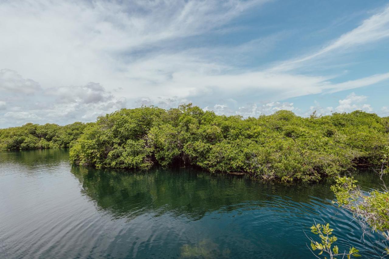 Yaxchen Tulum Cabanas & Cenote Exteriér fotografie